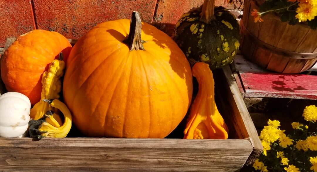Autumn harvest of mushrooms, apples, plums and pumpkins on a wooden crate